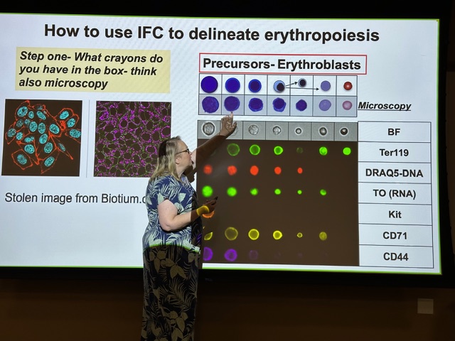 Instructor presenting on imaging flow cytometry and erythropoiesis